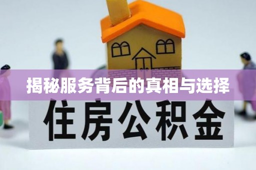 镇原揭秘服务背后的真相与选择