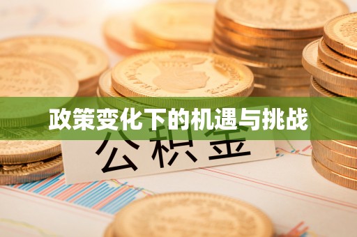 镇原政策变化下的机遇与挑战