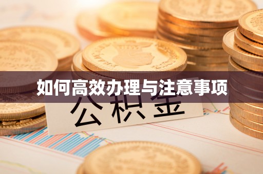 镇原如何高效办理与注意事项