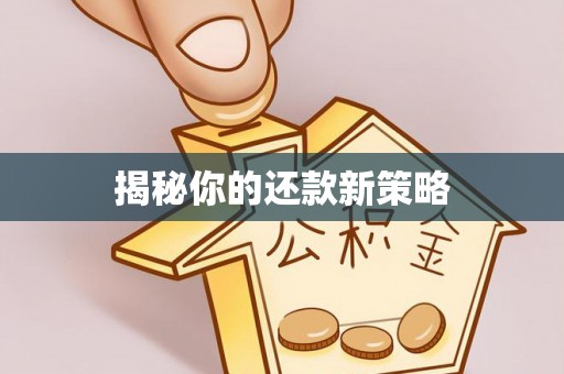 镇原揭秘你的还款新策略