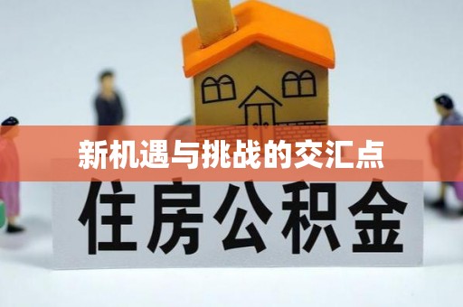 镇原新机遇与挑战的交汇点