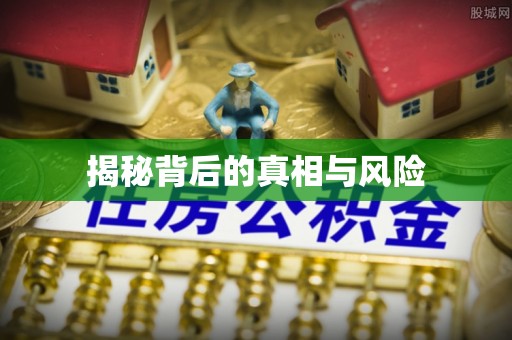 镇原揭秘背后的真相与风险