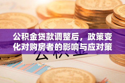 镇原公积金贷款调整后，政策变化对购房者的影响与应对策略