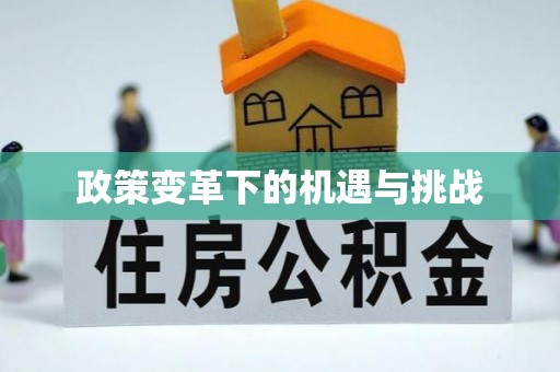 镇原政策变革下的机遇与挑战