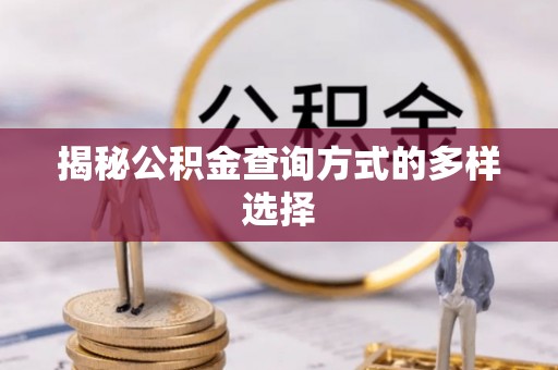 镇原揭秘公积金查询方式的多样选择