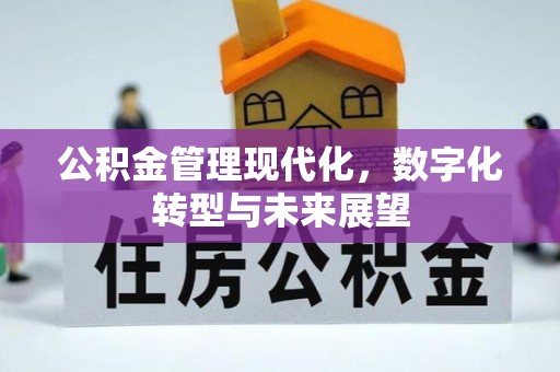 镇原公积金管理现代化，数字化转型与未来展望