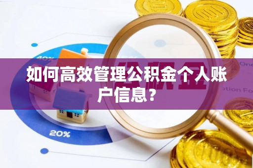 镇原如何高效管理公积金个人账户信息？