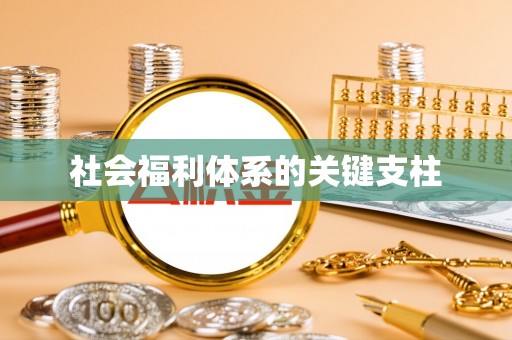 镇原社会福利体系的关键支柱