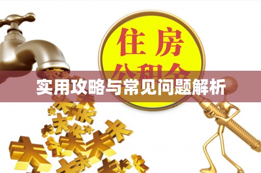 镇原实用攻略与常见问题解析