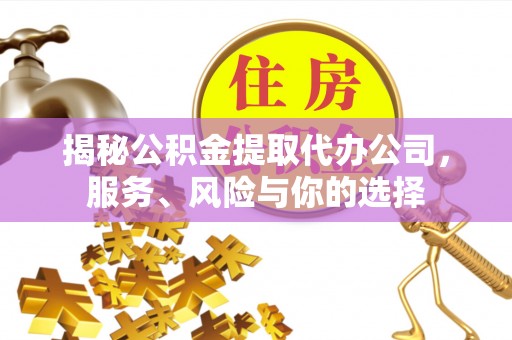 镇原揭秘公积金提取代办公司，服务、风险与你的选择