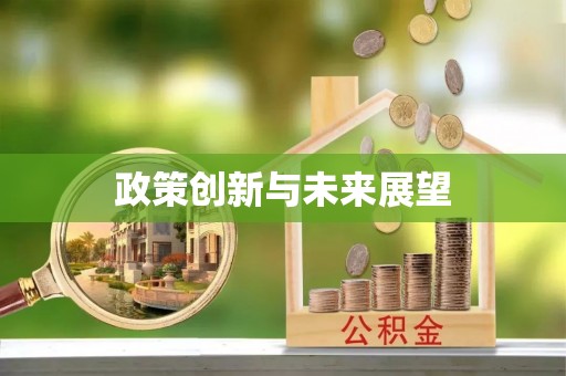 镇原政策创新与未来展望