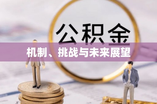 镇原机制、挑战与未来展望