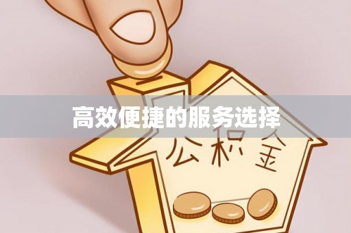 镇原高效便捷的服务选择