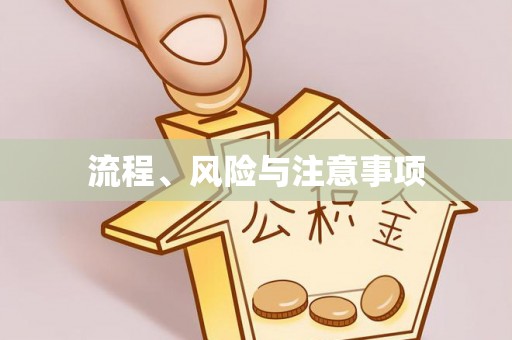 镇原流程、风险与注意事项