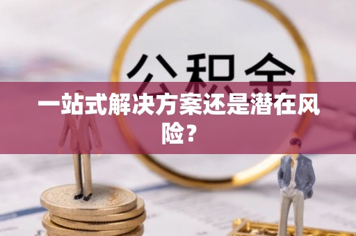 镇原一站式解决方案还是潜在风险？