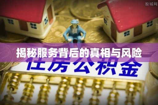 镇原揭秘服务背后的真相与风险